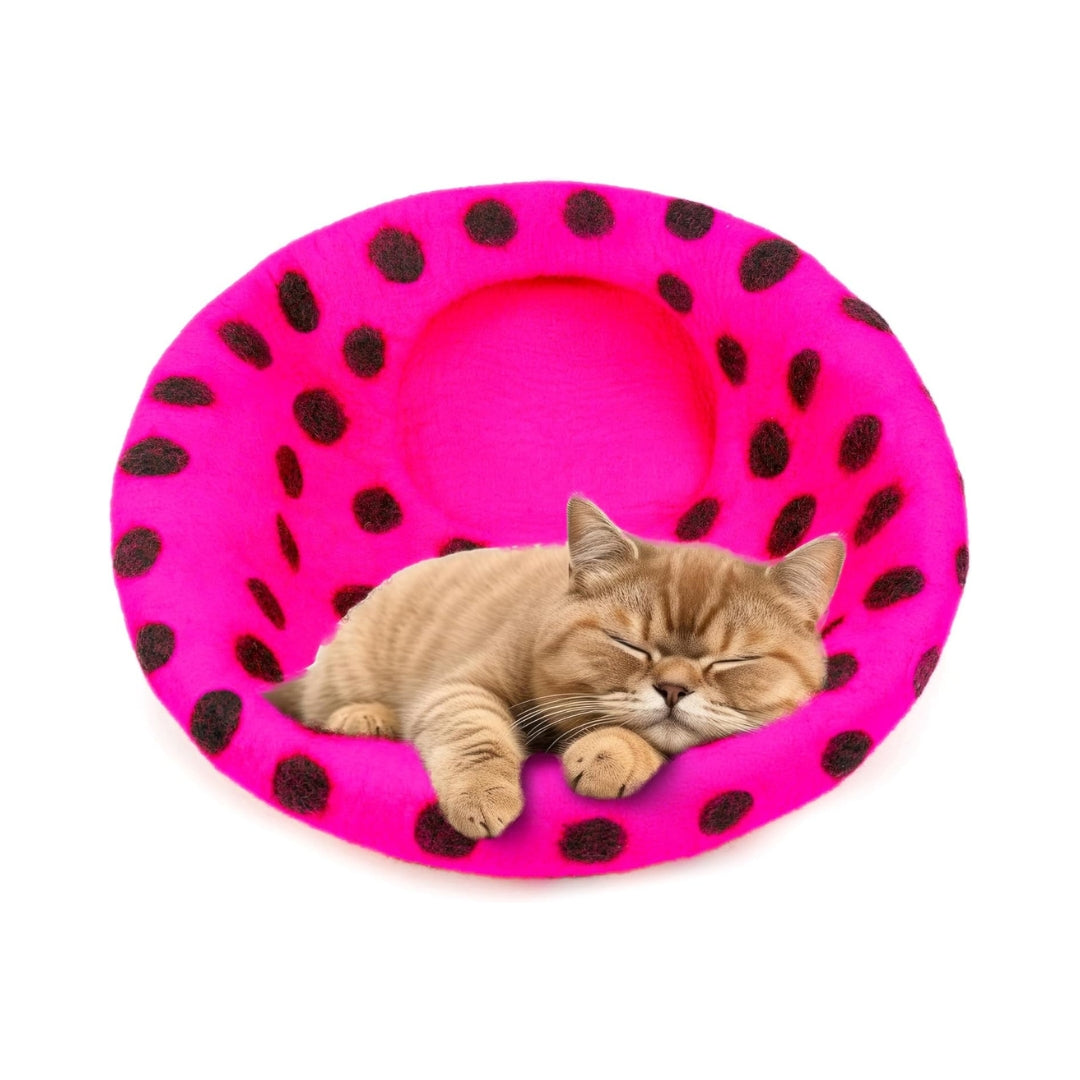 Grotte pour chat en laine mérinos écologique – Niche Lit douillet pliable en feutre naturelle – Maison couverte pour chat d’intérieur